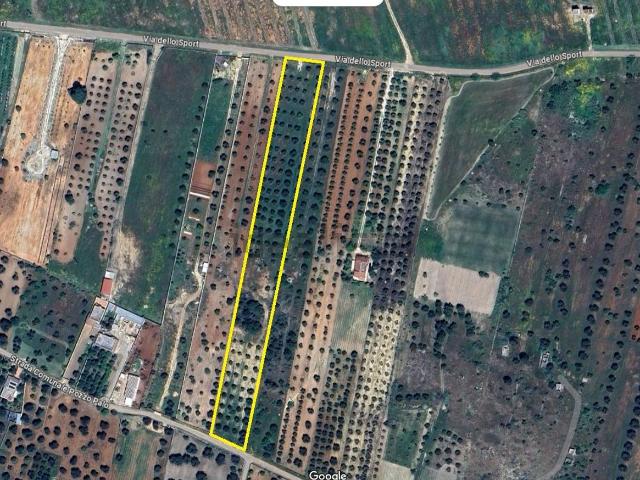 Terreno in vendita a Puglia, Taranto