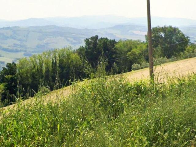 Terreno in vendita a Sassocorvaro Auditore, Marche