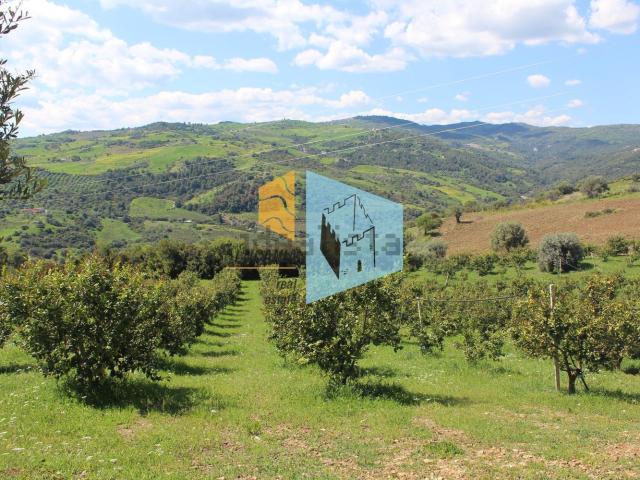 Terreno in vendita a Nova Siri, Basilicata