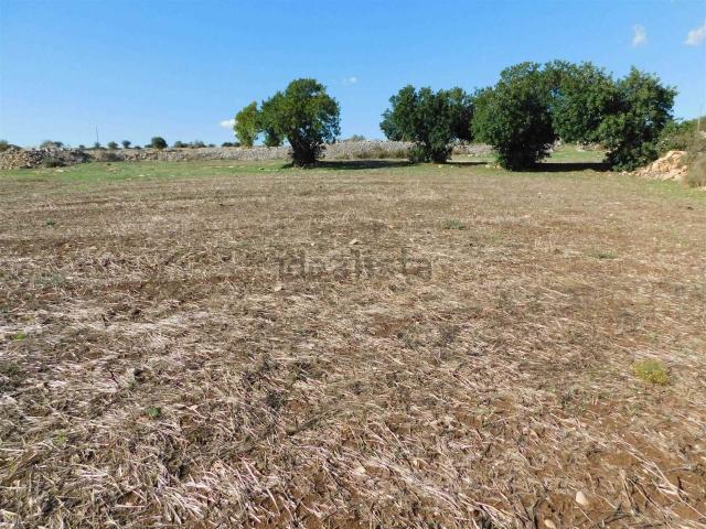 Terreno in vendita a Ragusa, Sicilia