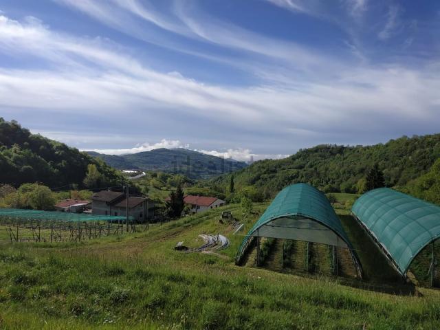 Terreno in vendita a Vestenanova, Veneto