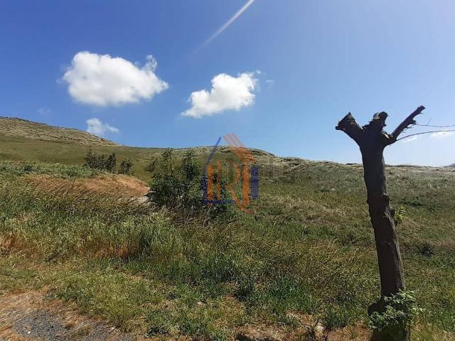 Terreno in vendita a Santa Maria, Calabria