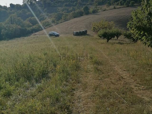 Terreno in vendita a Tregnago, Veneto