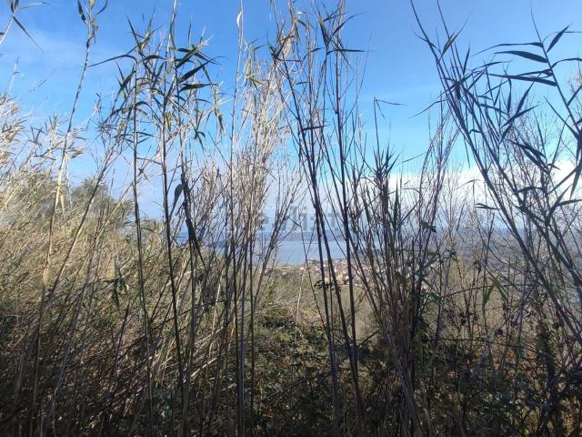 Terreno in vendita a Marta, Lazio