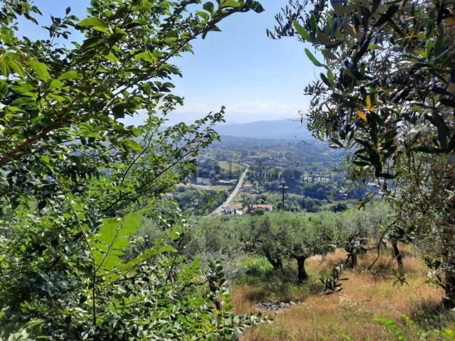 Terreno in vendita a Monte San Giovanni Campano, Lazio