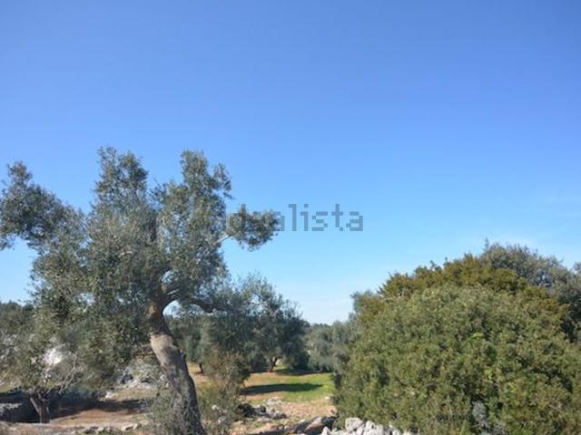 Terreno in vendita a Puglia, Brindisi