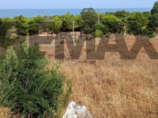 Terreno in vendita a San Vito Lo Capo, Sicilia