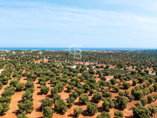 Terreno in vendita a Puglia, Brindisi