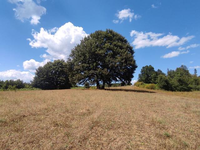 Terreno in vendita a Oriolo Romano, Lazio