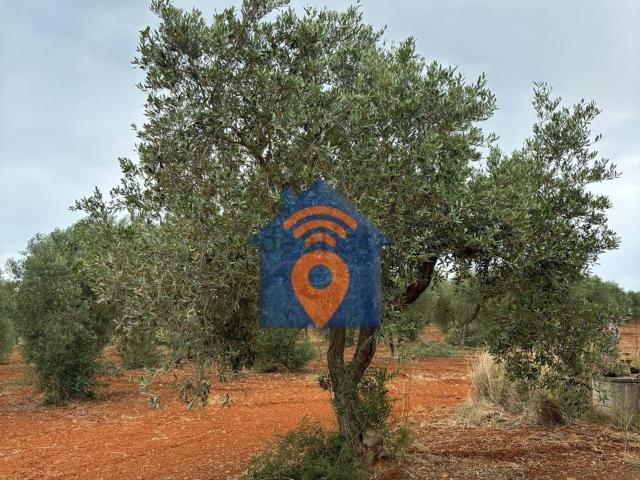 Terreno in vendita a Campobello Di Mazara, Sicilia