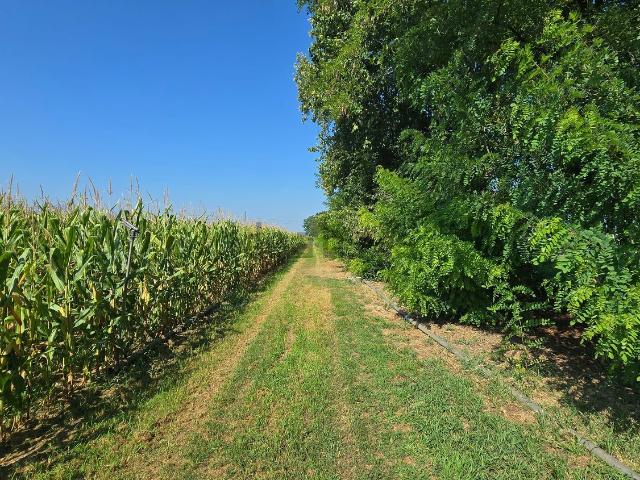 Terreno in vendita a Rossano Veneto, Veneto