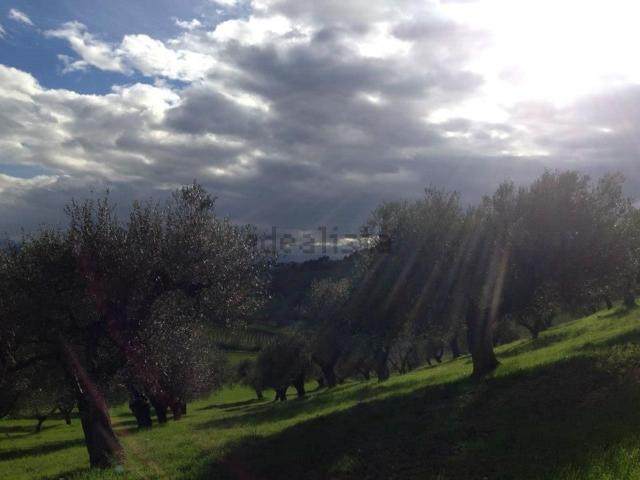 Terreno in vendita a Santa Teresa, Spoltore