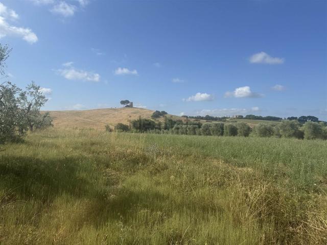 Terreno in vendita a Bibbona, Toscana