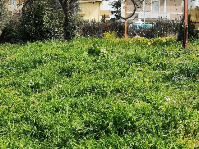 Terreno in vendita a San Paolo, Vasto