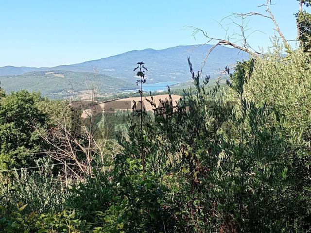 Terreno in vendita a Sansepolcro, Arezzo