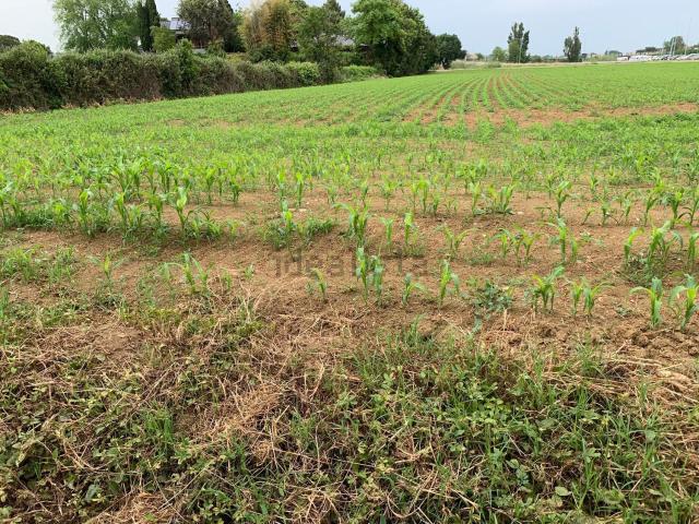 Terreno in vendita a Misano Adriatico, Reggio Emilia
