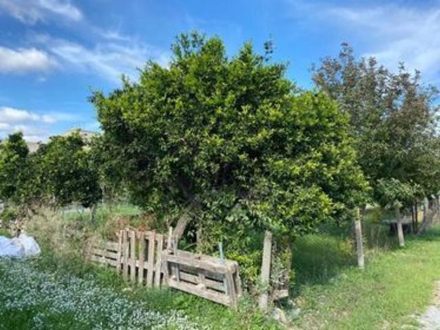 Terreno in vendita a Borgo San Francesco d’Assisi, Castelvetrano