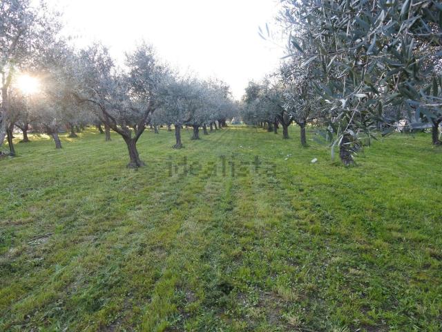 Terreno in vendita a San Giusto, Prato