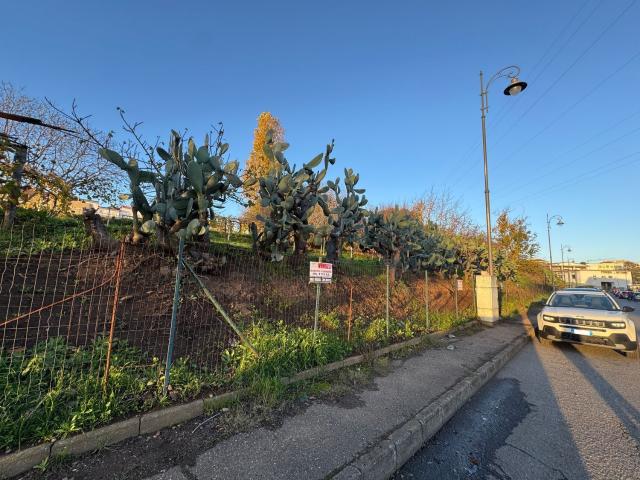 Terreno in vendita a Vibo Valentia