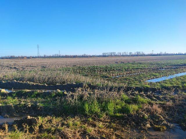 Terreno in vendita a Adria, Rovigo