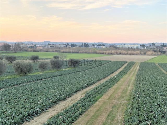 Terreno in vendita a Unione dei Comuni della Val Vibrata, Alba Adriatica