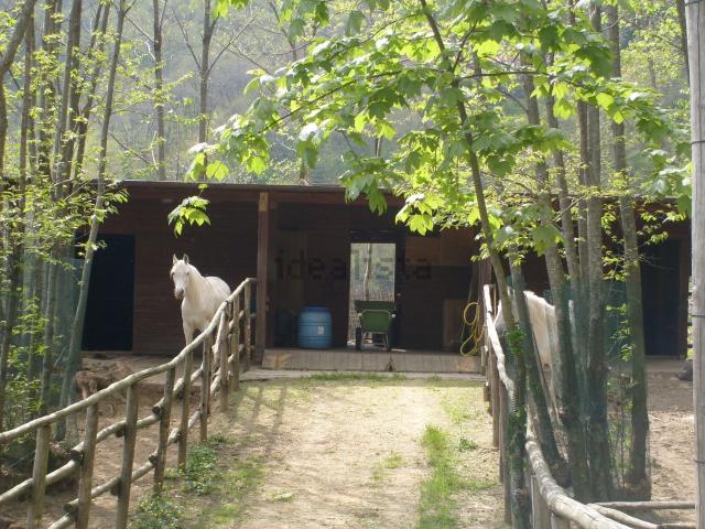 Terreno in vendita a Marliana, Momigno