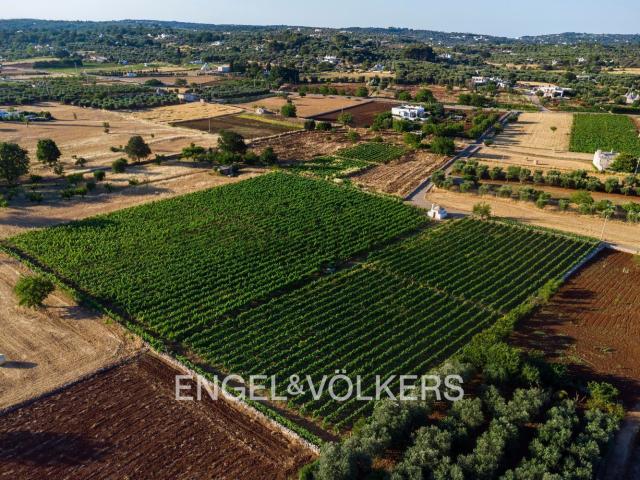 Terreno in vendita a Borgo Rurale Pascarosa, Puglia