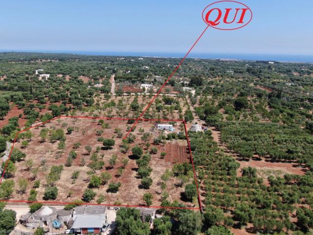 Terreno in vendita a Puglia, Brindisi