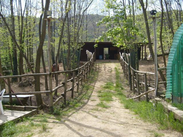 Terreno in vendita a Marliana, Toscana
