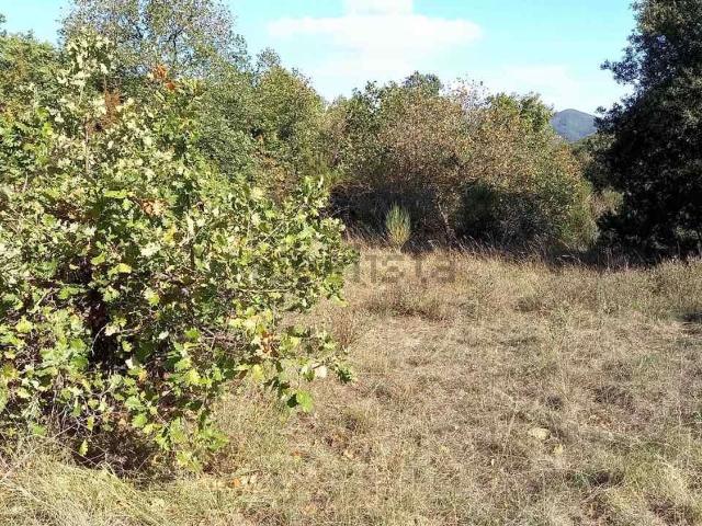 Terreno in vendita a Palazzo Del Pero, Toscana