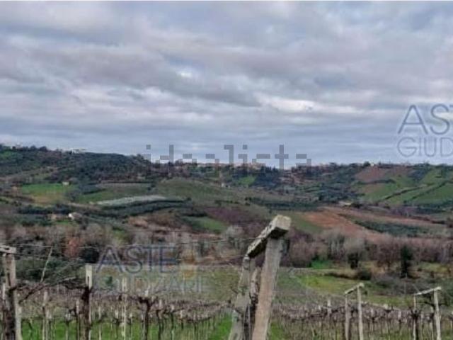 Terreno in vendita a Santo Spirito, Lanciano