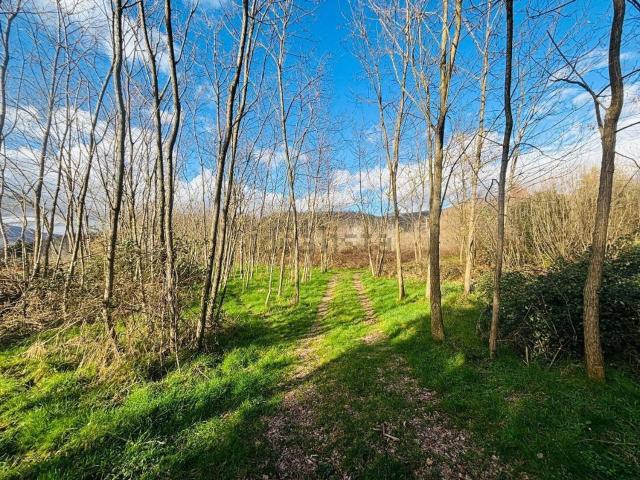 Terreno in vendita a Unione di comuni Montana Lunigiana, Filattiera