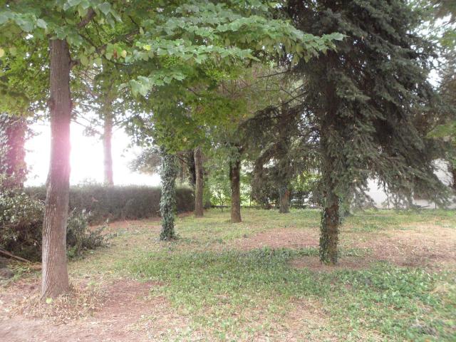 Terreno in vendita a Ammonite, Ravenna