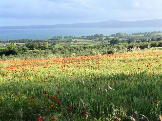Terreno in vendita a San Lorenzo Nuovo, Lazio