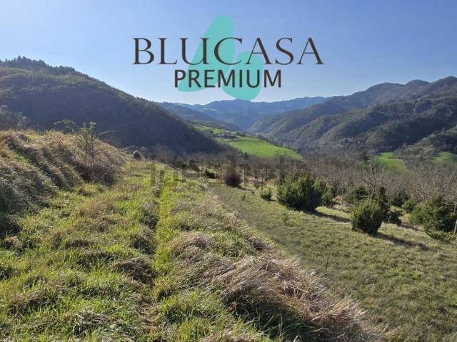Terreno in vendita a Unione di Comuni della Romagna Forlivese, Cusercoli