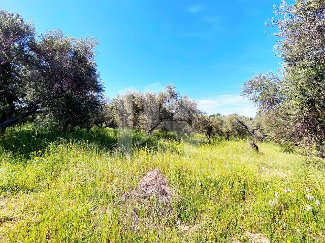 Terreno in vendita a Termoli, Molise