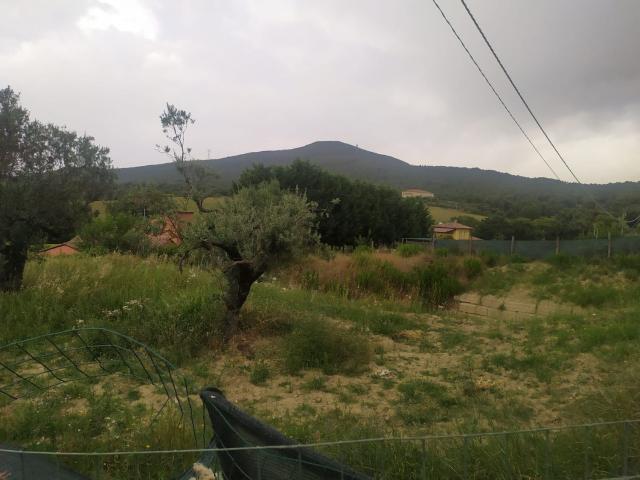 Terreno in vendita a Amelia, Umbria