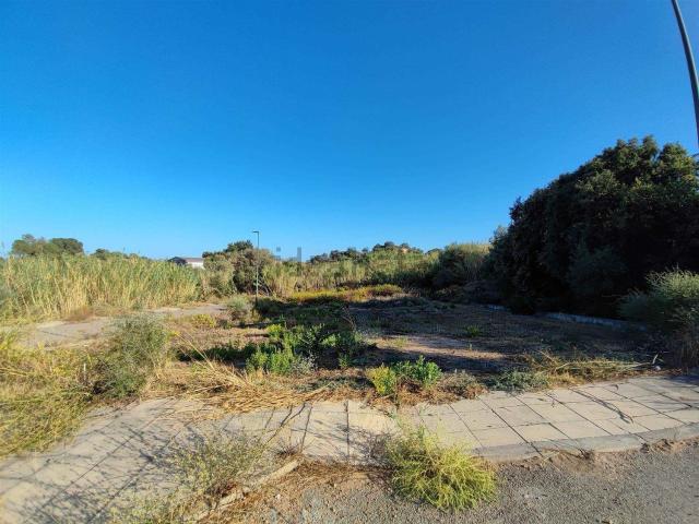 Terreno in vendita a Loceri, Sardigna/Sardegna