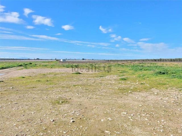 Terreno in vendita a Puglia, Foggia