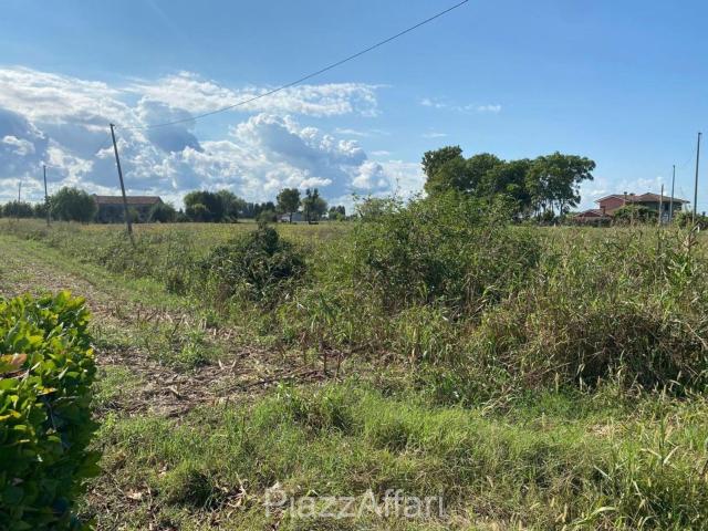 Terreno in vendita a Codevigo, Padova