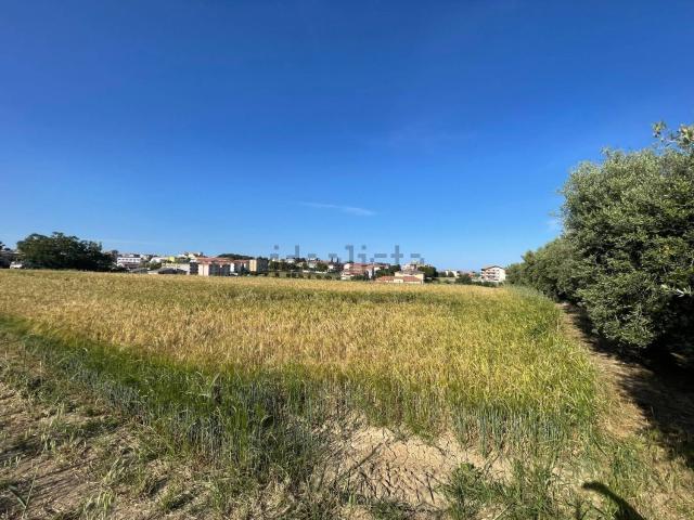 Terreno in vendita a Santa Maria Assunta, Mosciano Sant'Angelo