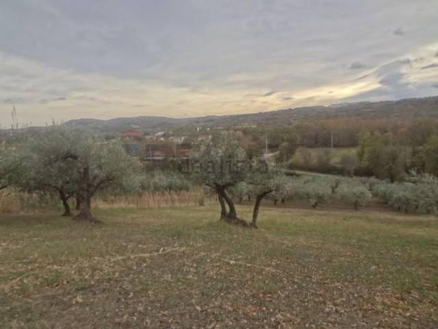 Terreno in vendita a Sant'Eufemia, Fara Filiorum Petri