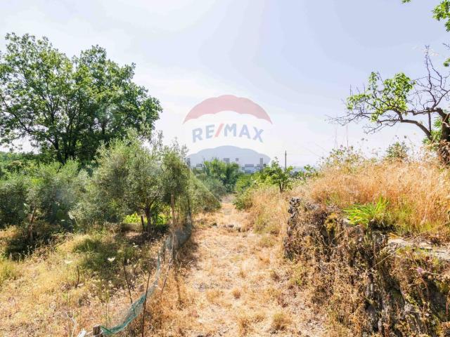 Terreno in vendita a Trecastagni, Sicilia