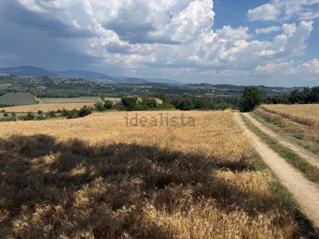 Terreno in vendita a Orte, Lazio