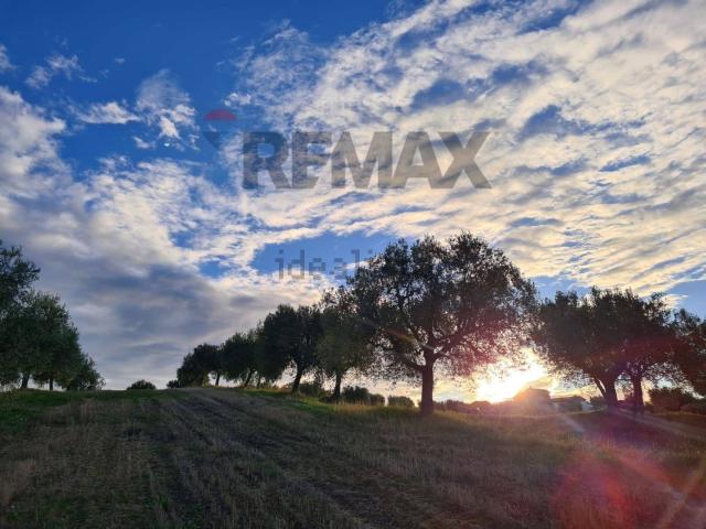 Terreno in vendita a Unione dei Comuni della Val Vibrata, Alba Adriatica