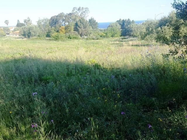 Terreno in vendita a Calabria, Vibo Valentia