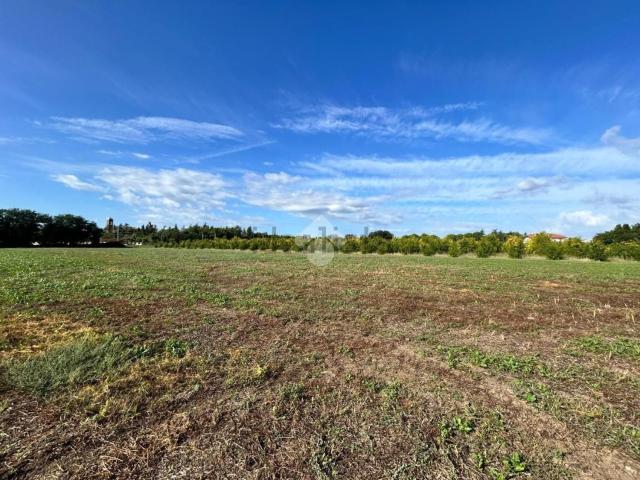 Terreno in vendita a Rimini, Reggio Emilia