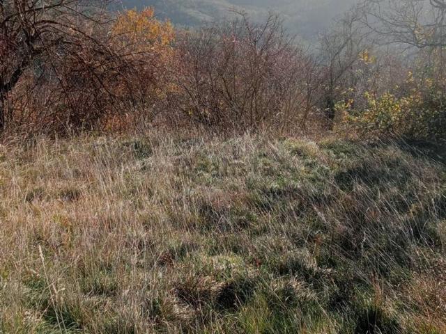 Terreno in vendita a Marche, Ancona