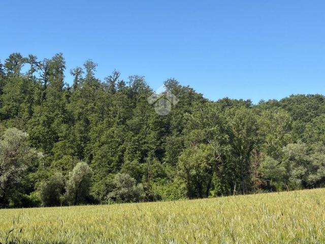 Terreno in vendita a Montecastrilli, Umbria