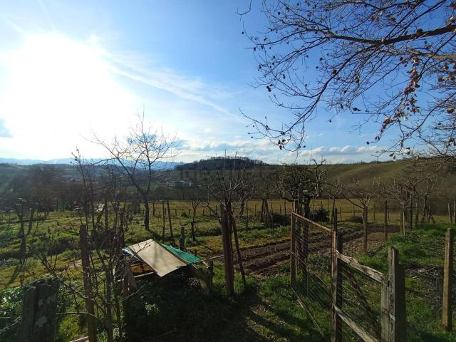 Terreno in vendita a Terranuova Bracciolini, Toscana